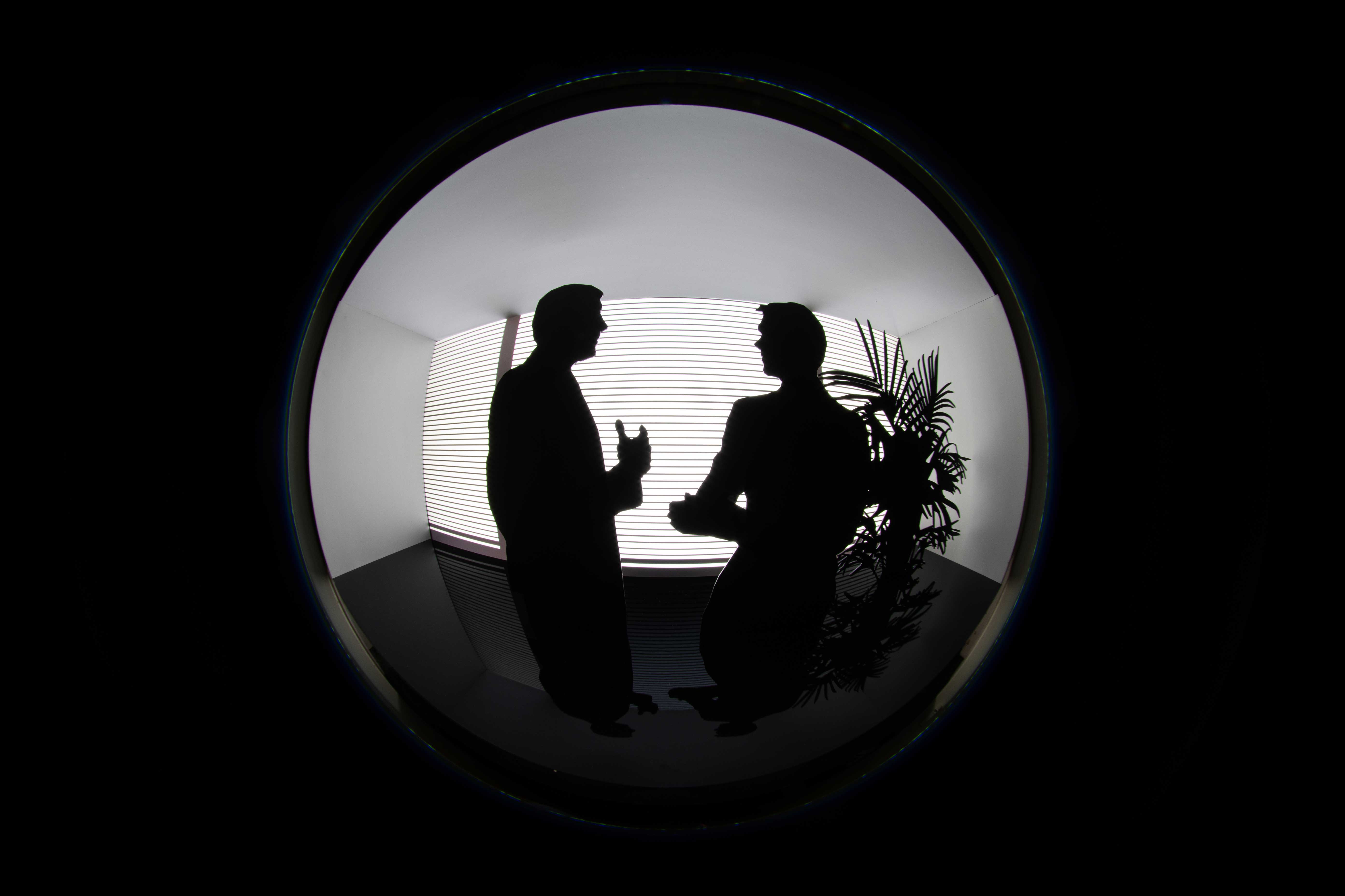 Selected Image